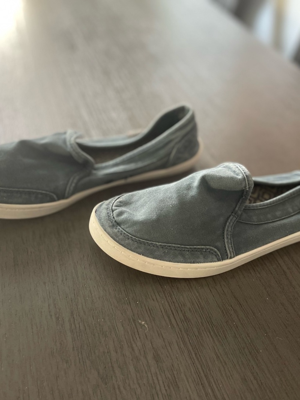 Sanuk Slip-On Canvas Shoes